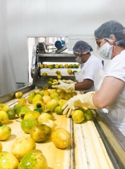 empresa-polpa-fruta-03